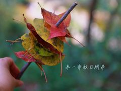 -天台山国清景区(国清寺)