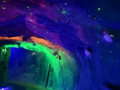 -宝山国家矿山公园