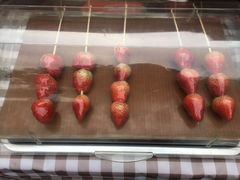 -周大娘牛乳(旧寨古村总店)