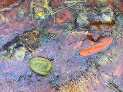 -东北公社(北京路店)