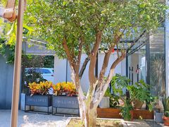 -Willing·Coffee&Brunch&Dinner(万达店)