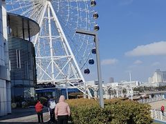 -琴岛之星摩天轮