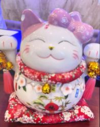 -南京医科大学友谊整形外科医院