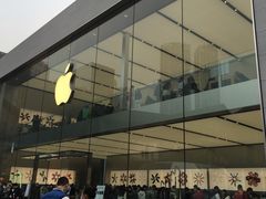 -Apple零售店(成都太古里店)