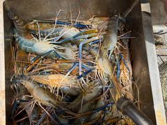 -桃源乐钓虾馆(松岗概念店)