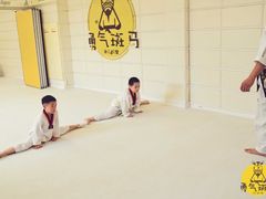 -勇气斑马·巴西柔术&跆拳道(浦东三林店)