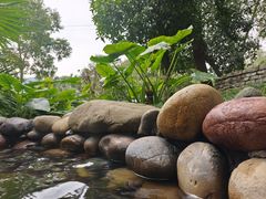 -融汇温泉