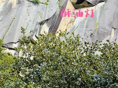 -卡定沟景区