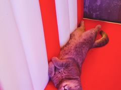 -VIKING SALOON西部美式烟熏烤肉(和平路店)