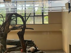 -宁波野生动物园