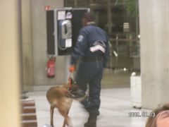 -戴高乐机场火车站