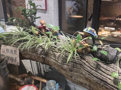 -黄鹤天厨·泡椒田鸡创始者(莲花店)