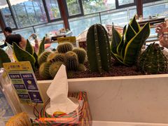 -润园四季椰子鸡火锅(欢乐海岸店)