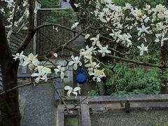 -虎丘山风景名胜区