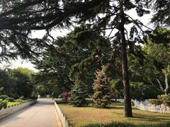 -青岛德国总督楼旧址博物馆
