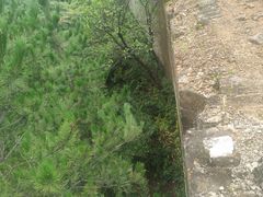 -蟠龙山长城景区