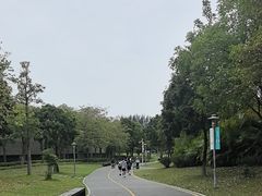 -宝安西湾红树林湿地公园