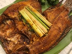-紫滇源云南生态菜(丹凤街店)