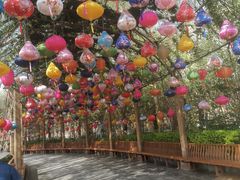 -郑州方特梦幻王国