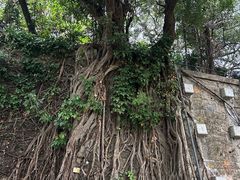 -九龙公园