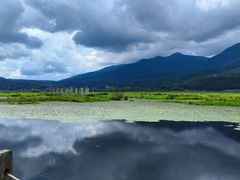 -腾冲北海湿地