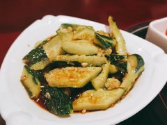 -火焰金龟甲(汉阳江滩旗舰店)