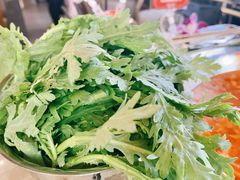 皇帝菜-蛙宴·美蛙火锅基地(万象城店)