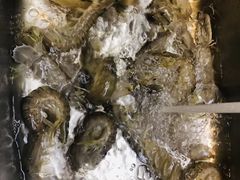 -鸿港海鲜批发市场