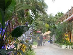 -三圣花乡旅游区