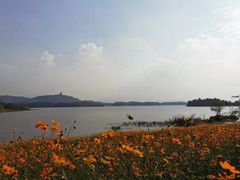 -池州市平天湖风景区
