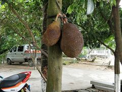 -创味·民间海南菜·非遗藤桥排骨(藤桥·免税城店)