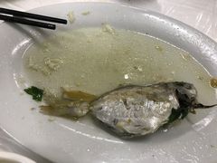 -老三鱼仔店
