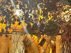 -叶叶菩提·晋福宫