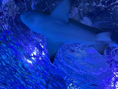 -常州海昌海洋探索馆