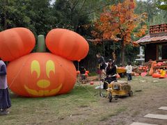 -HERRE·FARM 赫尔露营农场·团建聚会包场