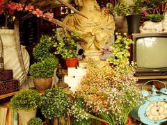 -胡桃里音乐酒馆(环亚凯瑟琳广场店)
