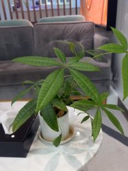 -常熟时代医疗美容