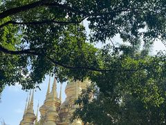 -西双版纳勐泐文化旅游区