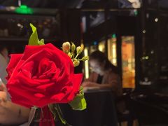 -弦月窗LUNETTE BY AMANDA(复兴路店)