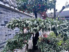 -周老三跷脚牛肉·全牛火锅(非遗传承店)