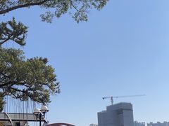 -珠江夜游省总码头