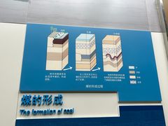 -安徽省地质博物馆