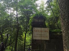 -莫干山风景区