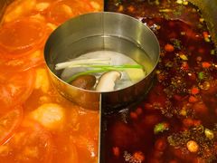 红汤梭边鱼锅-新辣道鱼火锅(国瑞城店)