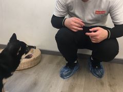 -浣熊柯尔鸭土拨鼠·电玩咖