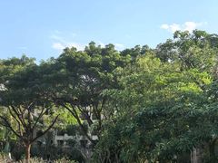 -西双版纳融创皇冠假日度假酒店