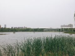-武汉园博园(武汉自然博物馆)