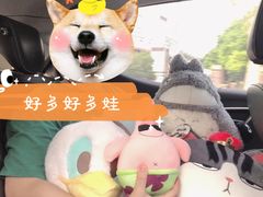 -天天玩X秋葉原日系动漫游戏中心