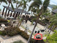 -日落吧·海景咖啡厅·餐酒吧·鸡尾酒·下午茶·乐队表演·浪漫夕阳·三亚文华东方酒店