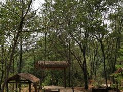 -黄金寨原生态旅游区